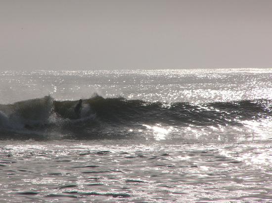 Cayton Point